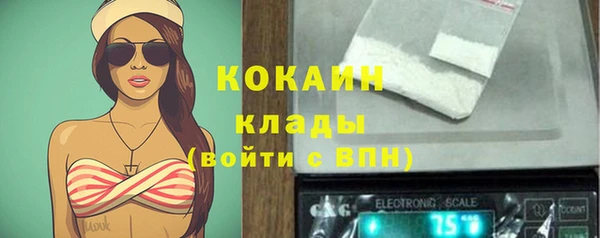 мяу мяу мука Аркадак