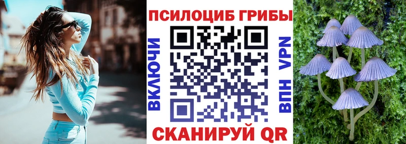 купить закладку  Сибай  Галлюциногенные грибы GOLDEN TEACHER 